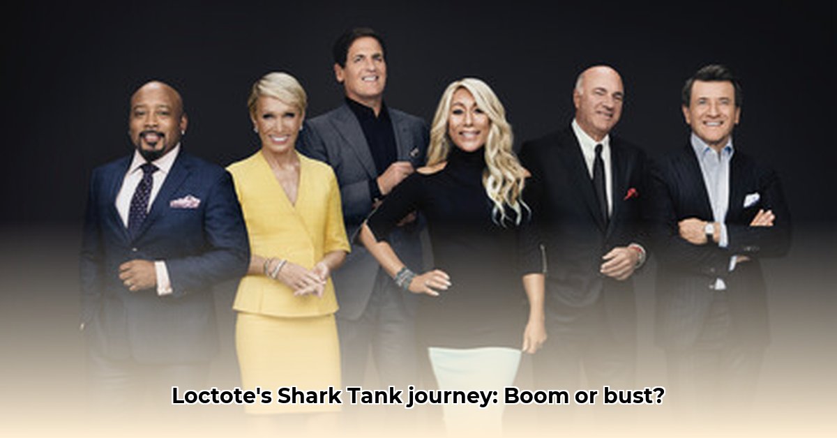 loctote-shark-tank-net-worth